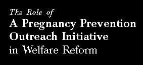 The Role of a Pregnancy Prevention Outreach Initiative in Welfare Reform